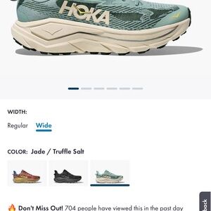Hoka Challenger 8 Shoes